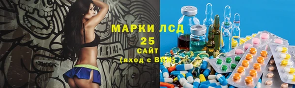 спайс Бородино