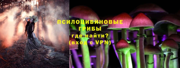 МДПВ Бугульма