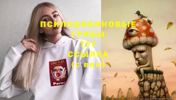 спайс Бородино