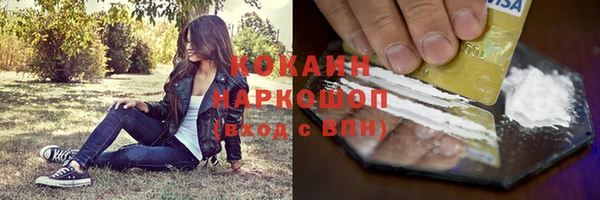 спайс Бородино