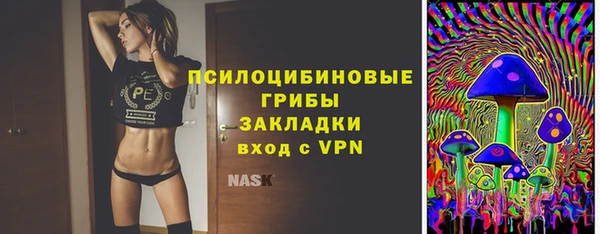 МДПВ Бугульма