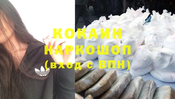 спайс Бородино