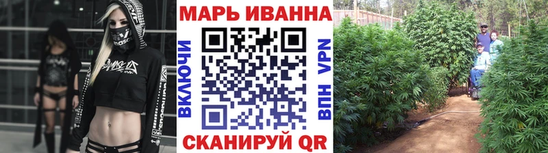Конопля MAZAR  Венёв 